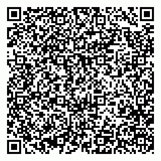 vCard 79393020889