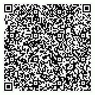 vCard 79393020901
