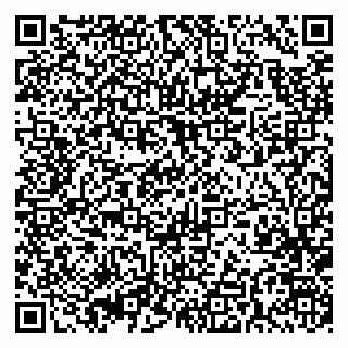 vCard 79393020987