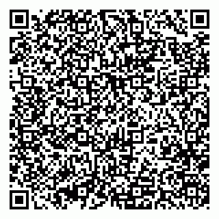 vCard 79393021000
