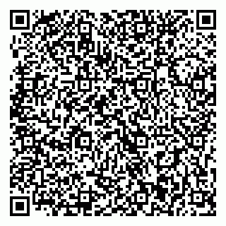 vCard 79393021010