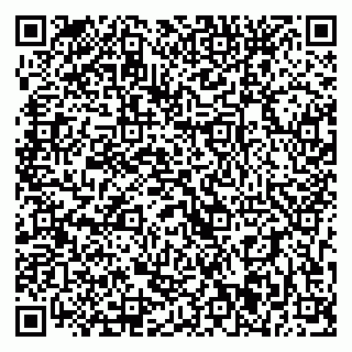 vCard 79393021013