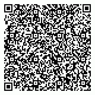 vCard 79393021035