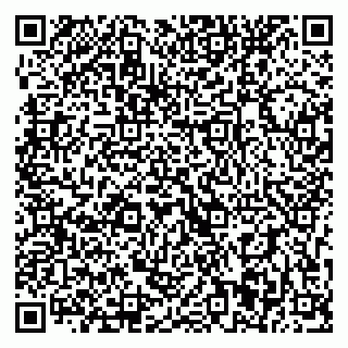 vCard 79393021048