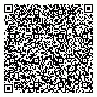 vCard 79393021303