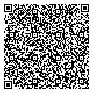vCard 79393021330