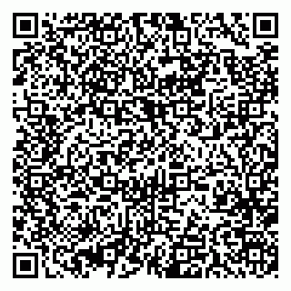 vCard 79393021332