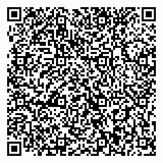 vCard 79393021353