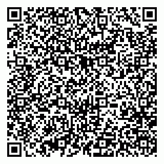 vCard 79393021379