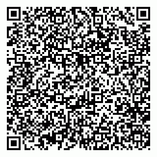 vCard 79393021383