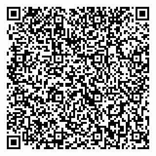 vCard 79393022049