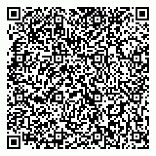 vCard 79393022205