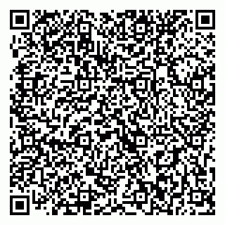 vCard 79393022241