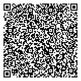 vCard 79393022729