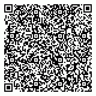 vCard 79393022881