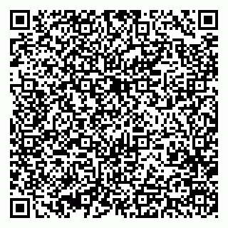 vCard 79393023981