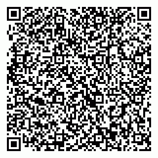 vCard 79393023997