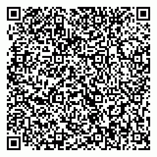 vCard 79393024515