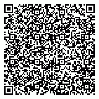 vCard 79393024527