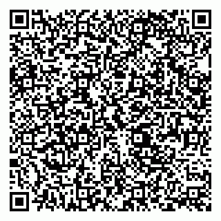 vCard 79393024809