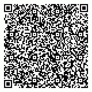 vCard 79393025153