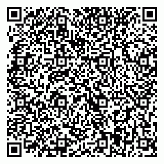 vCard 79393025209