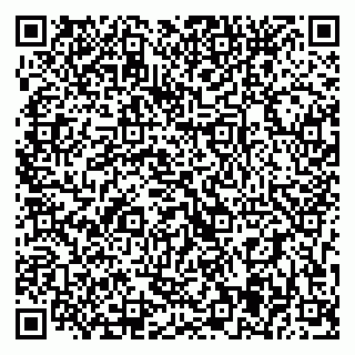 vCard 79393025410