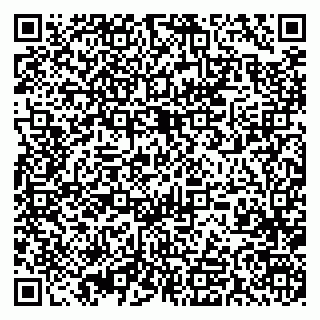 vCard 79393027074