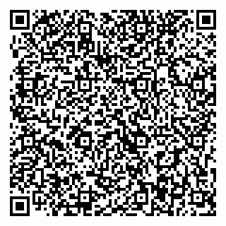 vCard 79393027329