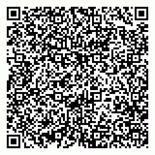 vCard 79393027741