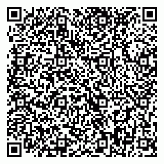 vCard 79393198409