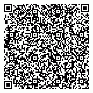 vCard 79393198410