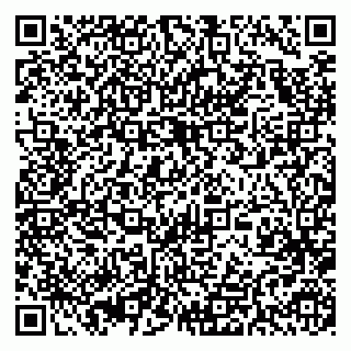 vCard 79393198511