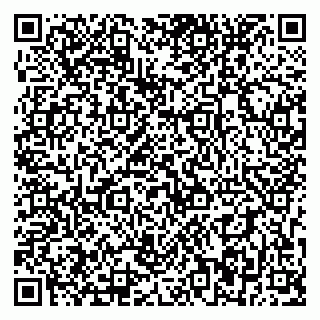 vCard 79393856029