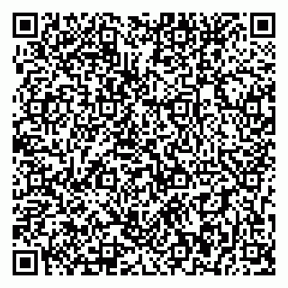 vCard 79393856032