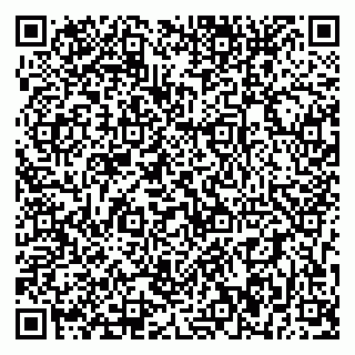vCard 79393856053
