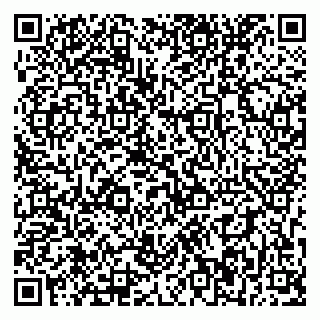 vCard 79393856065