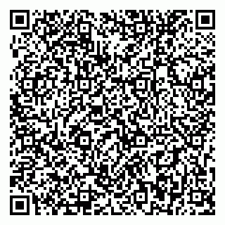 vCard 79393856068