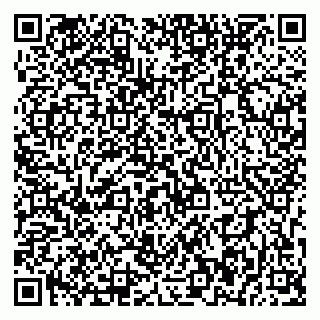 vCard 79393856082