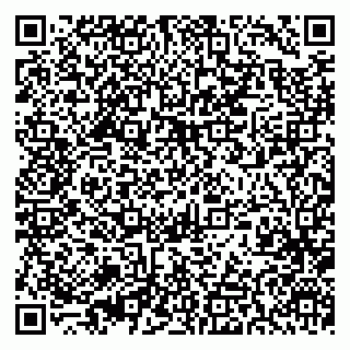 vCard 79393856087