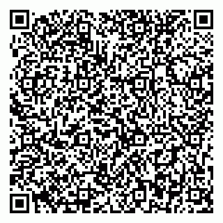 vCard 79393856128