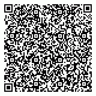 vCard 79393856200