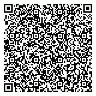 vCard 79393856211