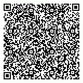 vCard 79393856231