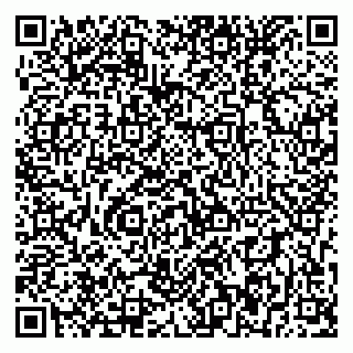 vCard 79393856271