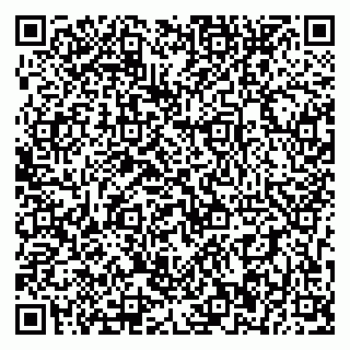 vCard 79393856304