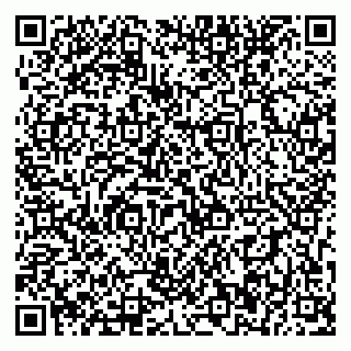 vCard 79393856324