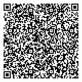 vCard 79393856378