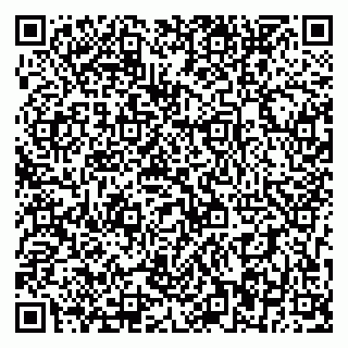 vCard 79393856389