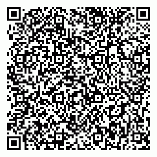 vCard 79393856821